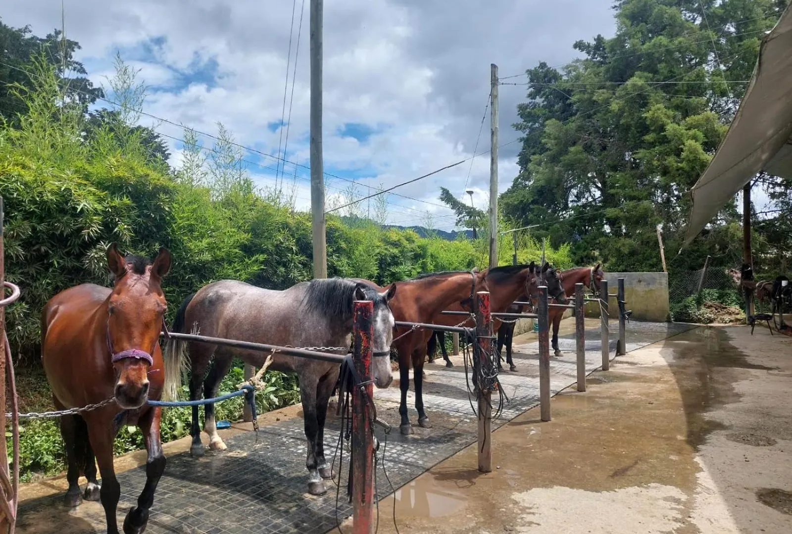 Hotel Campestre Ronda Ecuestre Rionegro La Ceja Colombia
